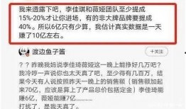 网红缴税爆料案例视频,揭秘网络红人税务问题背后的真相